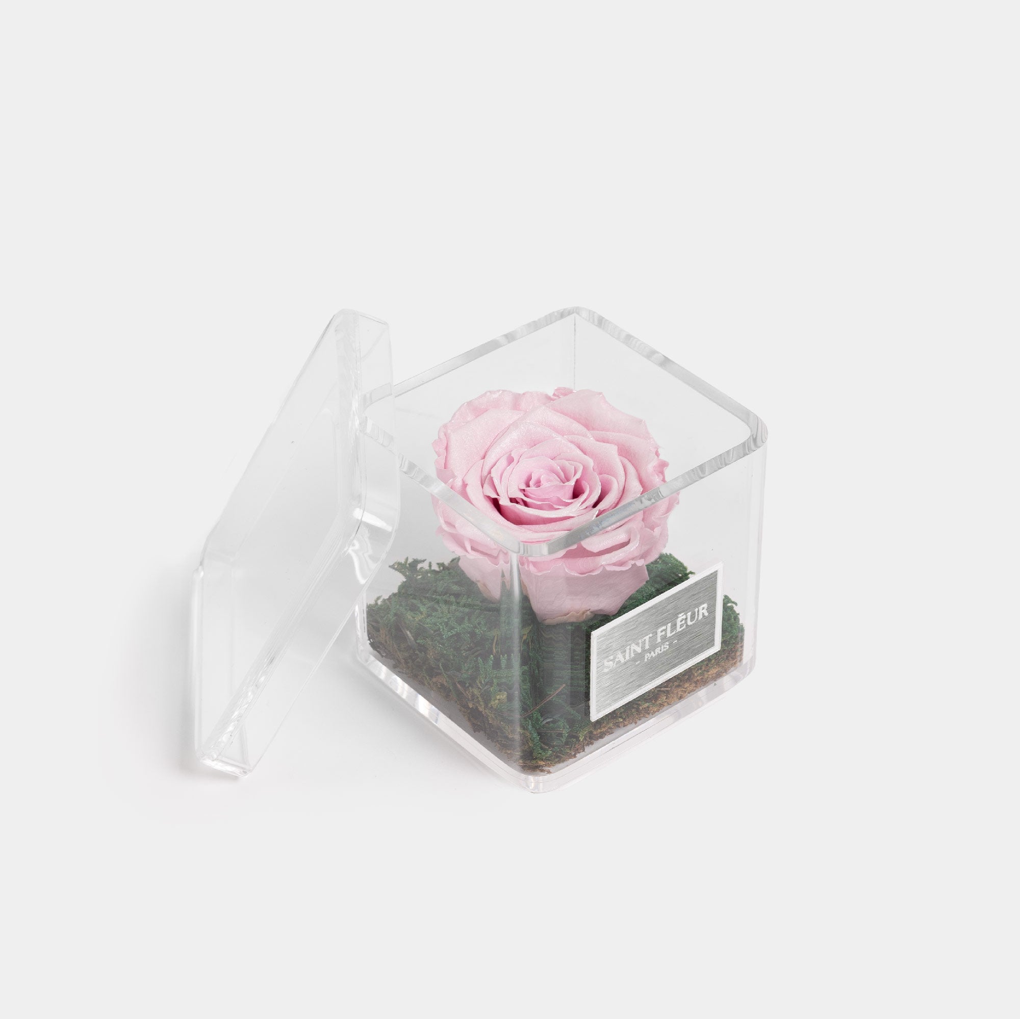 #color_light pink