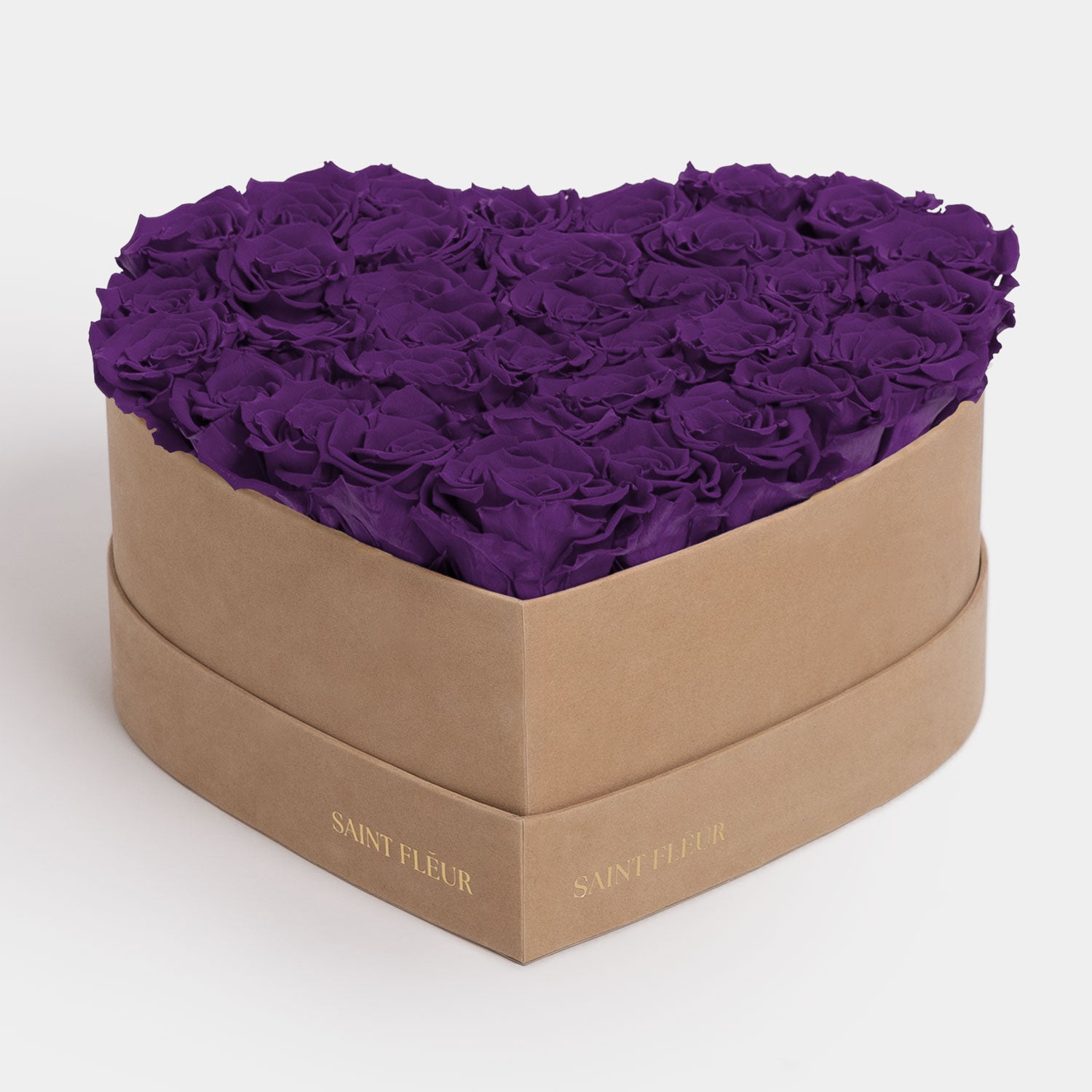 #color_deep purple