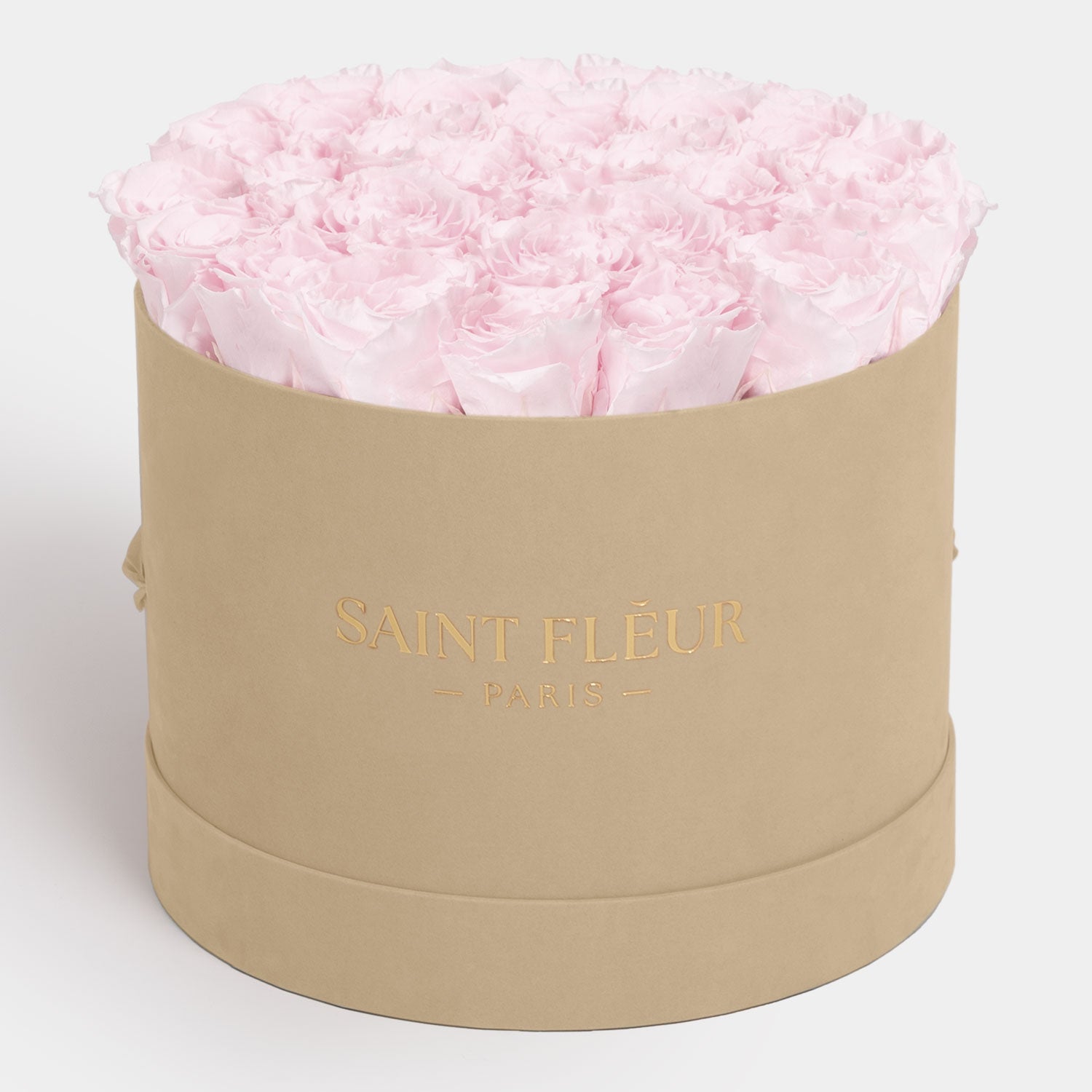 #color_light pink