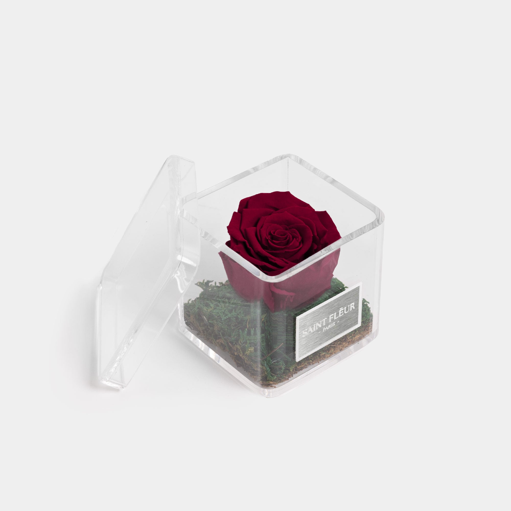 #color_wine red