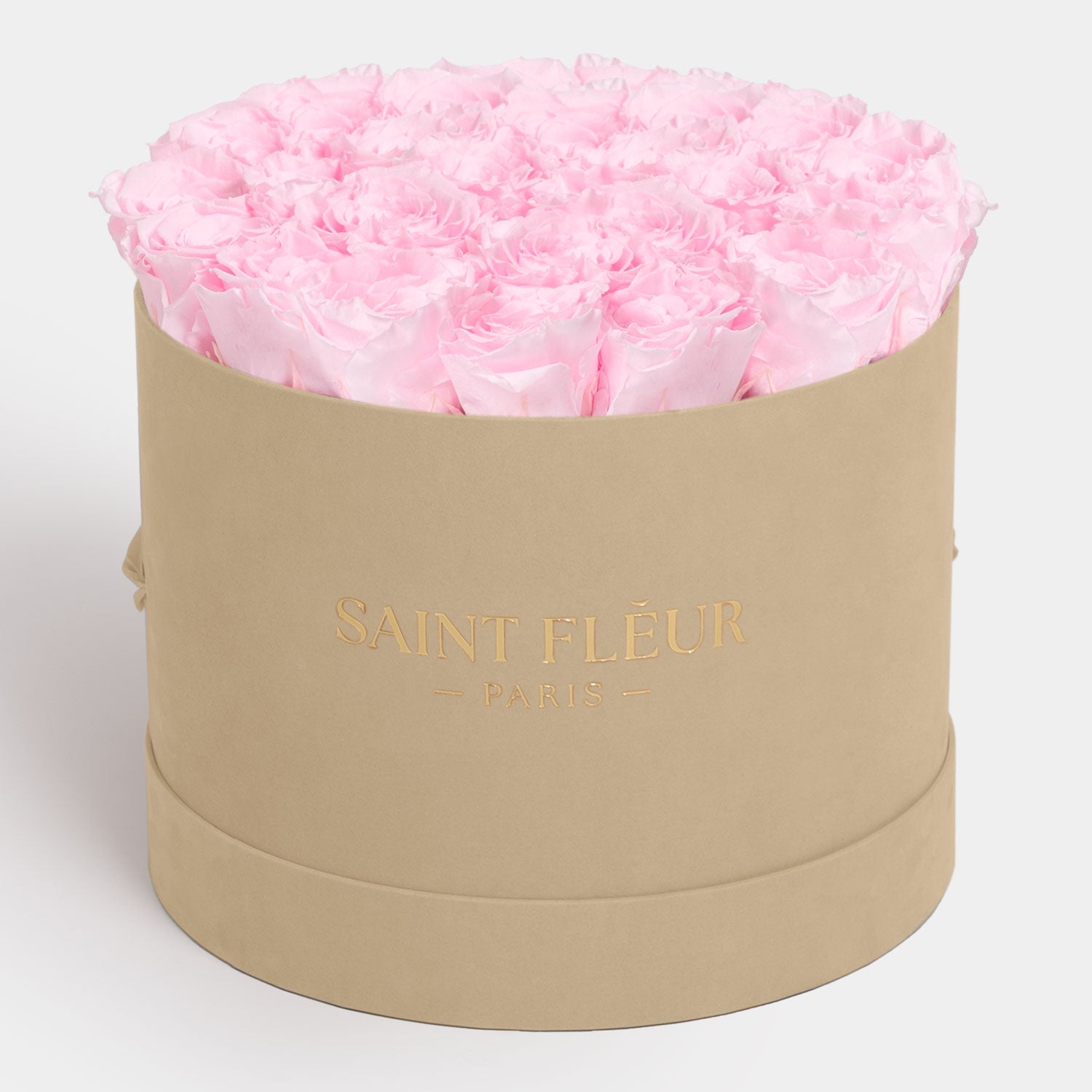 #color_baby pink