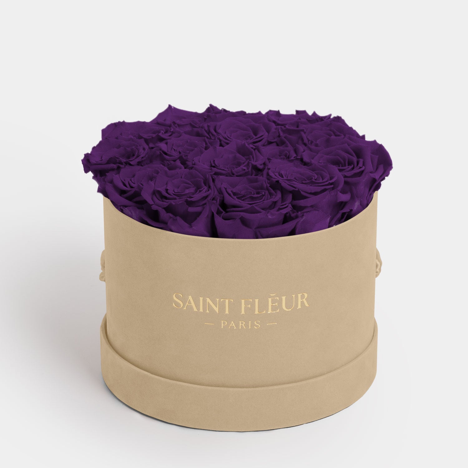 #color_deep purple