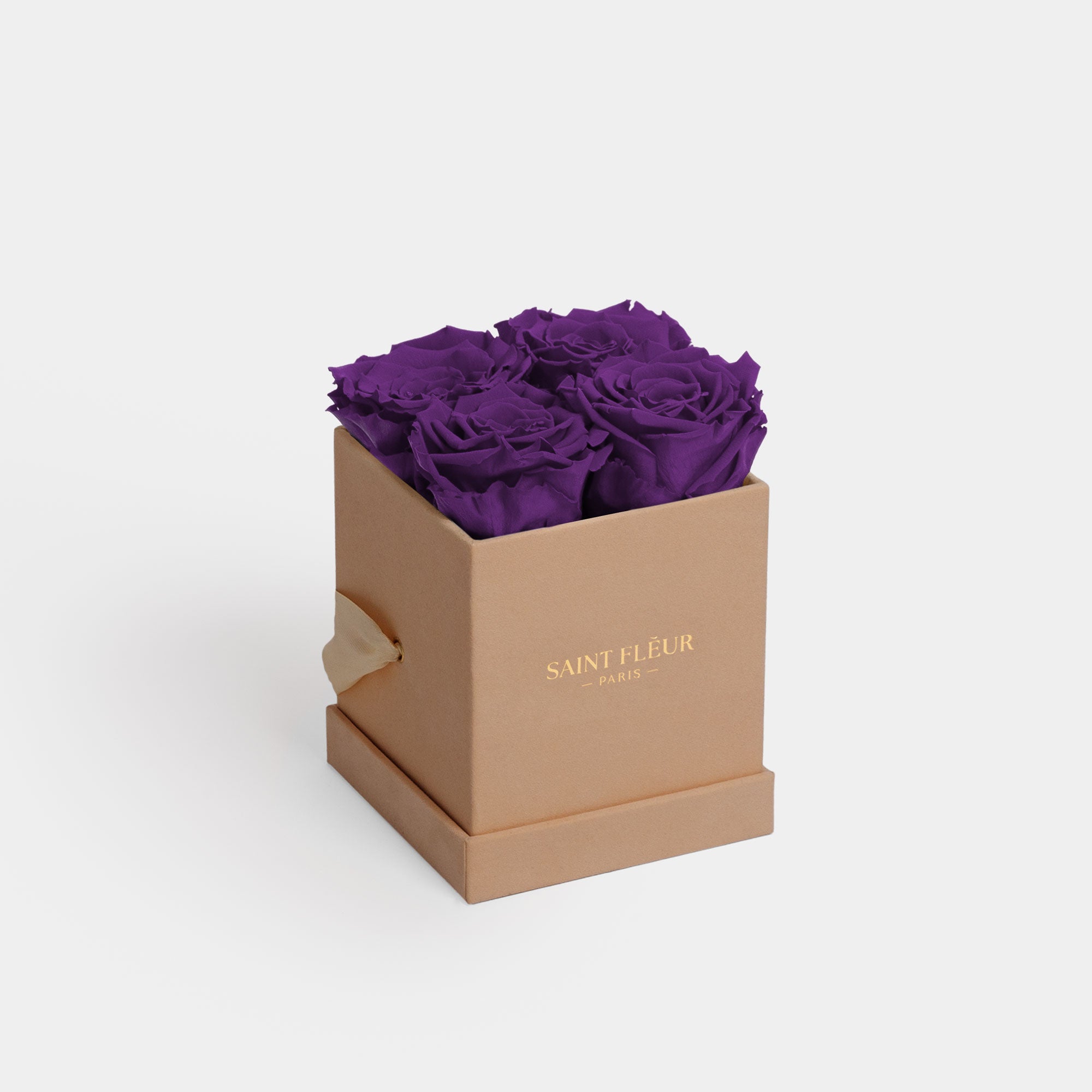 #color_deep purple