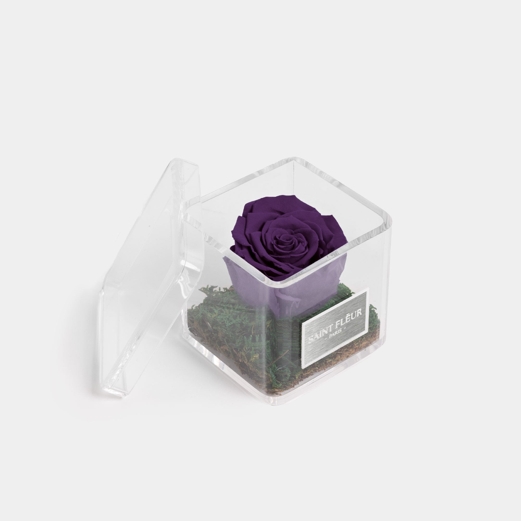 #color_deep purple