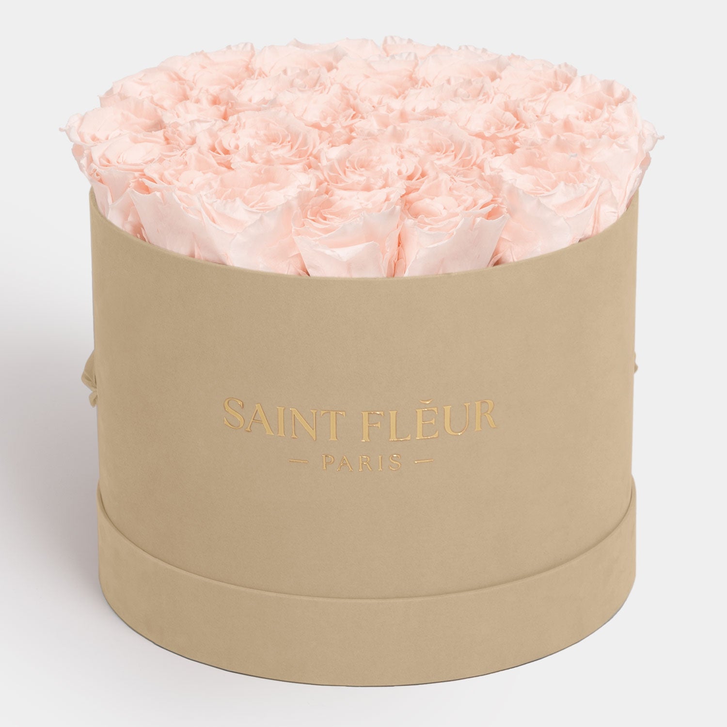 #color_peach