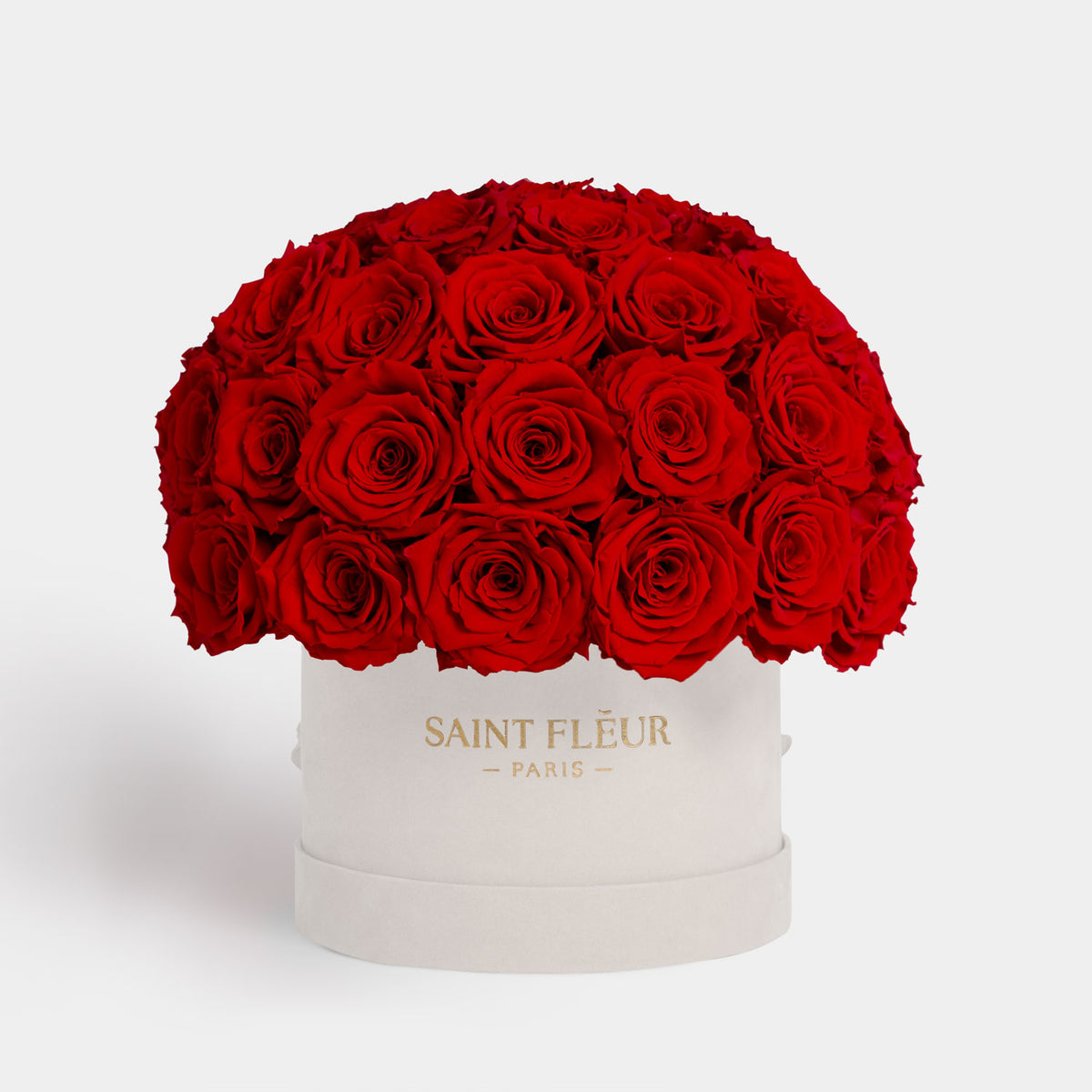 Luxurious Roses - Classic Dome